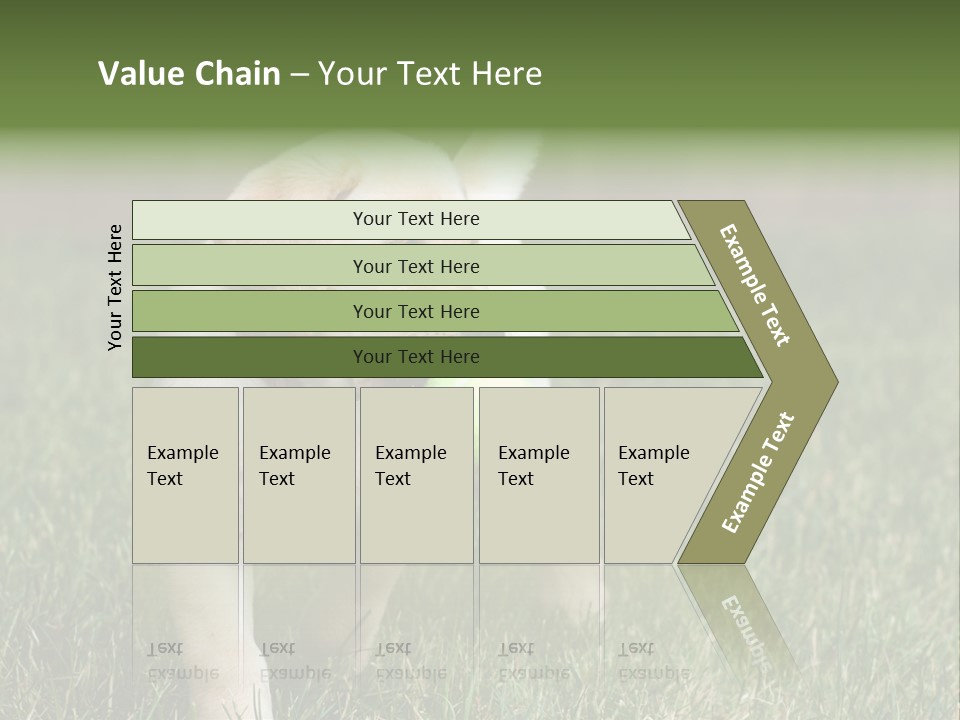 A Yellow Labrador Retriever Dog Holding A Tennis Ball In Its Mouth PowerPoint Template