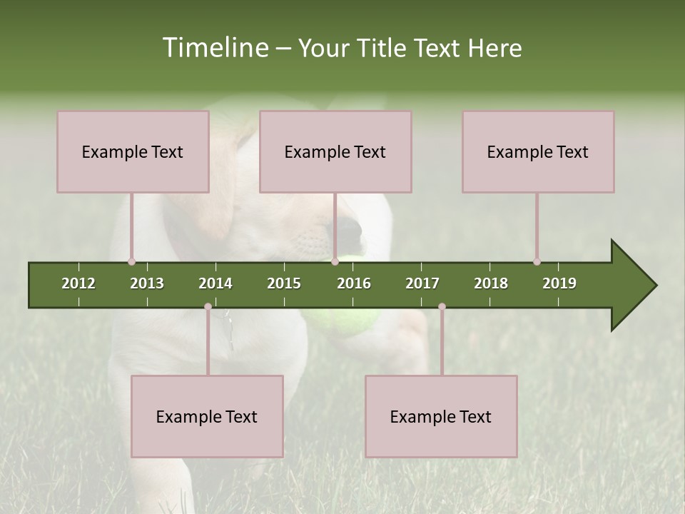 A Yellow Labrador Retriever Dog Holding A Tennis Ball In Its Mouth PowerPoint Template