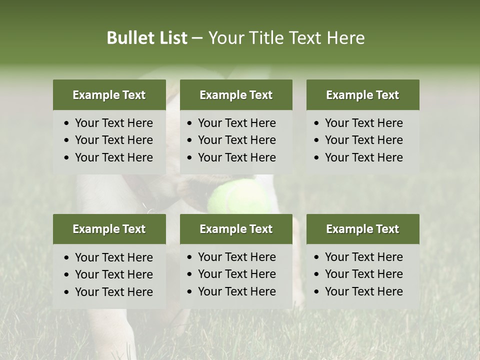 A Yellow Labrador Retriever Dog Holding A Tennis Ball In Its Mouth PowerPoint Template