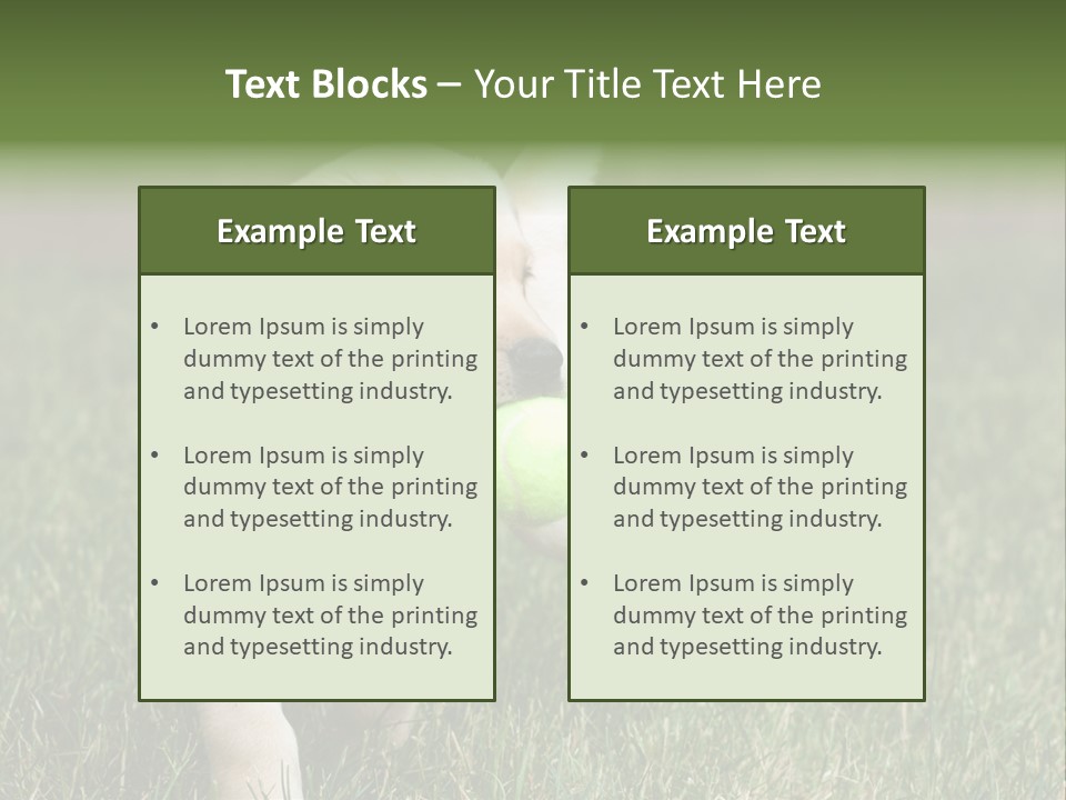 A Yellow Labrador Retriever Dog Holding A Tennis Ball In Its Mouth PowerPoint Template