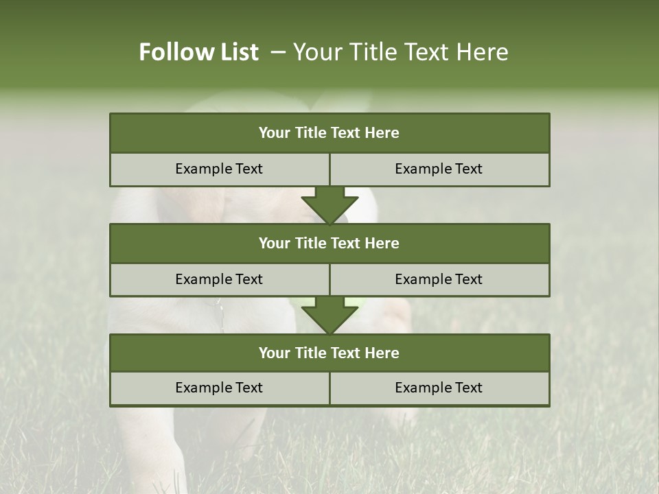 A Yellow Labrador Retriever Dog Holding A Tennis Ball In Its Mouth PowerPoint Template