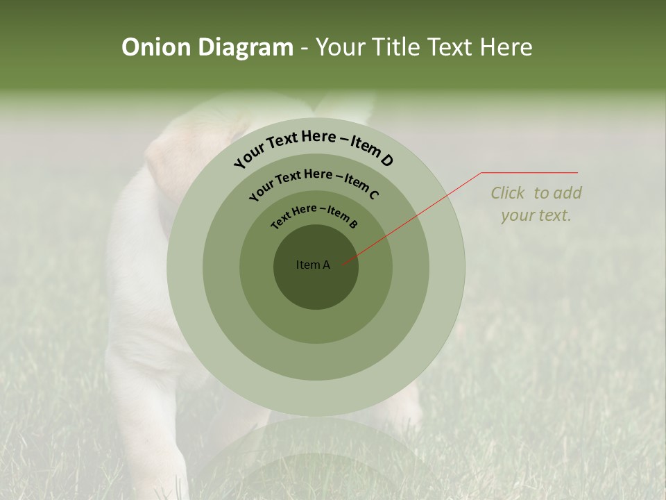 A Yellow Labrador Retriever Dog Holding A Tennis Ball In Its Mouth PowerPoint Template