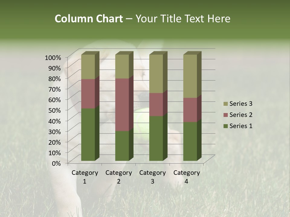 A Yellow Labrador Retriever Dog Holding A Tennis Ball In Its Mouth PowerPoint Template