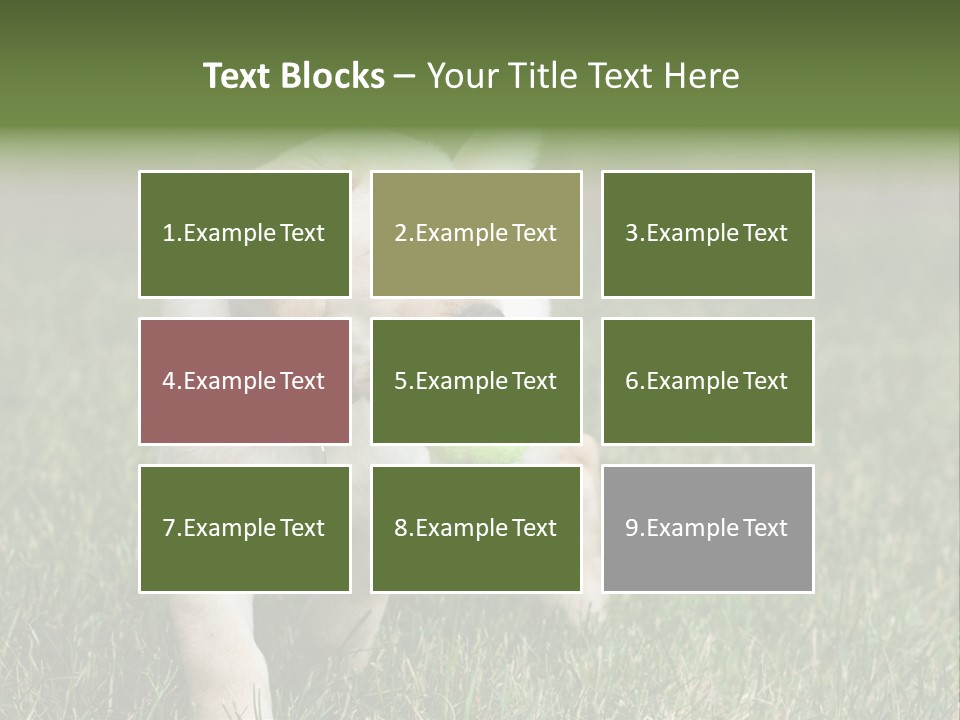 A Yellow Labrador Retriever Dog Holding A Tennis Ball In Its Mouth PowerPoint Template