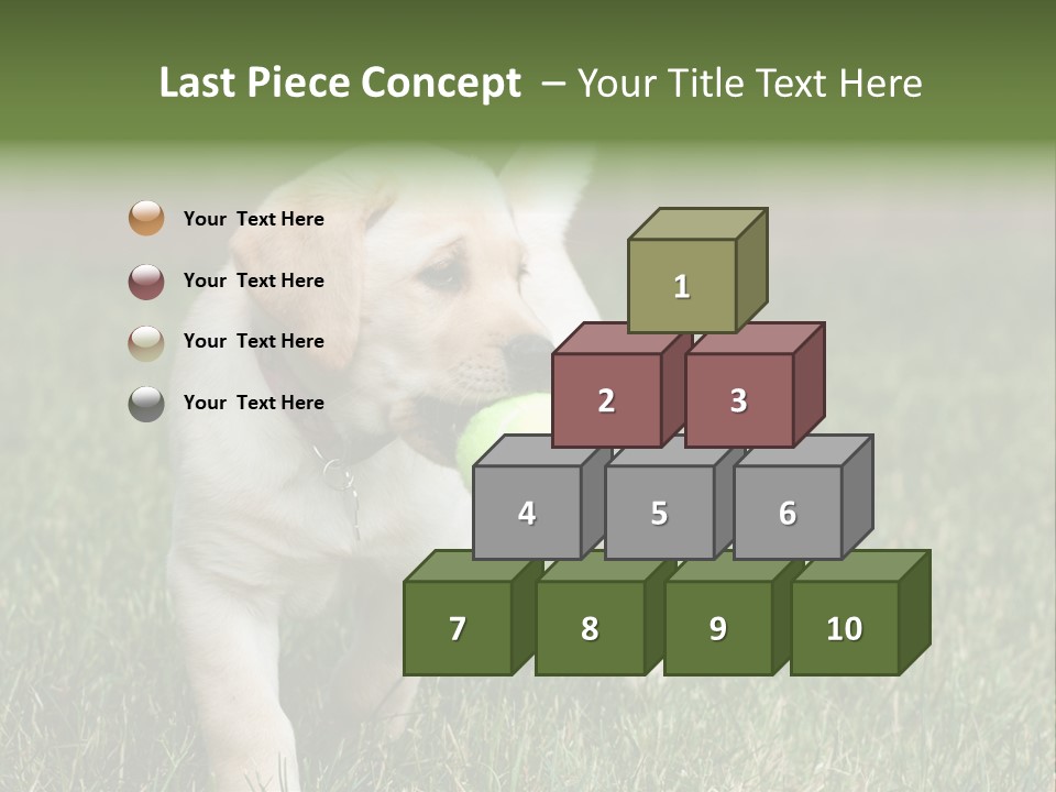 A Yellow Labrador Retriever Dog Holding A Tennis Ball In Its Mouth PowerPoint Template