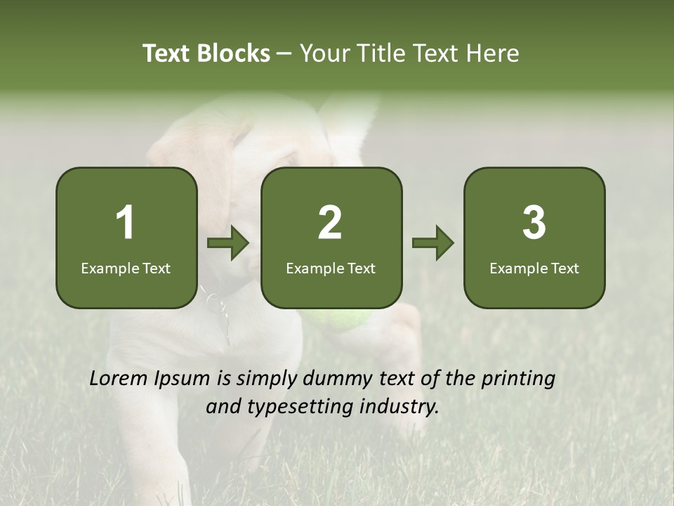 A Yellow Labrador Retriever Dog Holding A Tennis Ball In Its Mouth PowerPoint Template