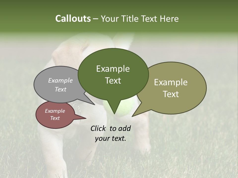 A Yellow Labrador Retriever Dog Holding A Tennis Ball In Its Mouth PowerPoint Template