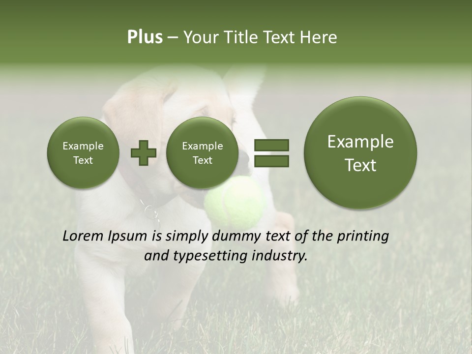 A Yellow Labrador Retriever Dog Holding A Tennis Ball In Its Mouth PowerPoint Template