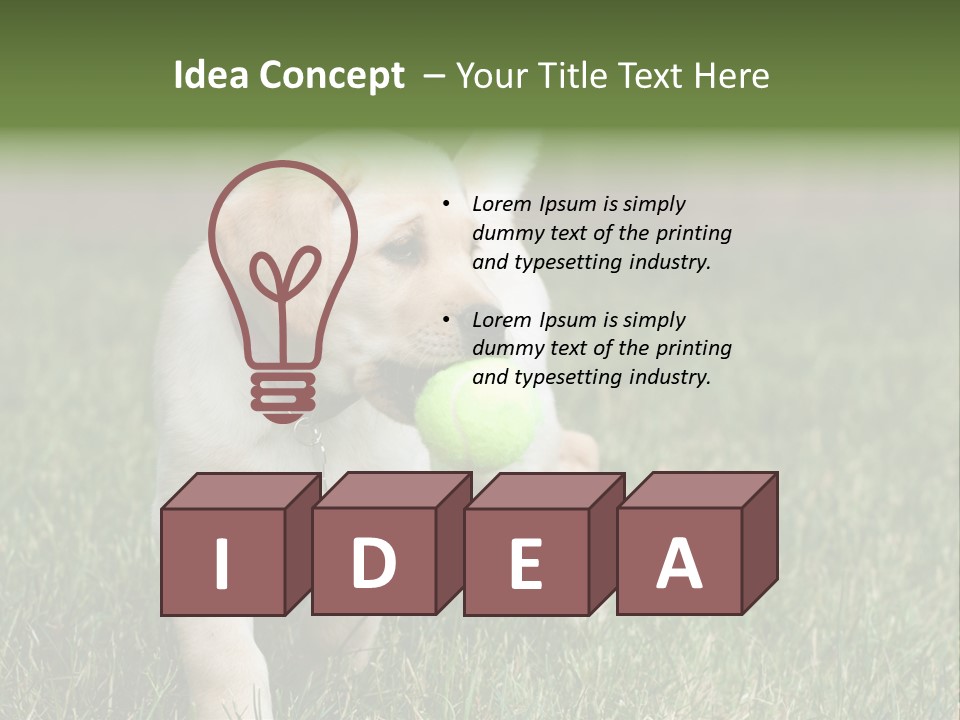 A Yellow Labrador Retriever Dog Holding A Tennis Ball In Its Mouth PowerPoint Template