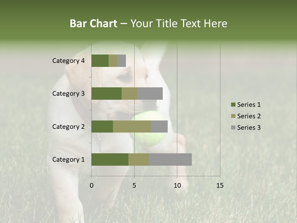 A Yellow Labrador Retriever Dog Holding A Tennis Ball In Its Mouth PowerPoint Template