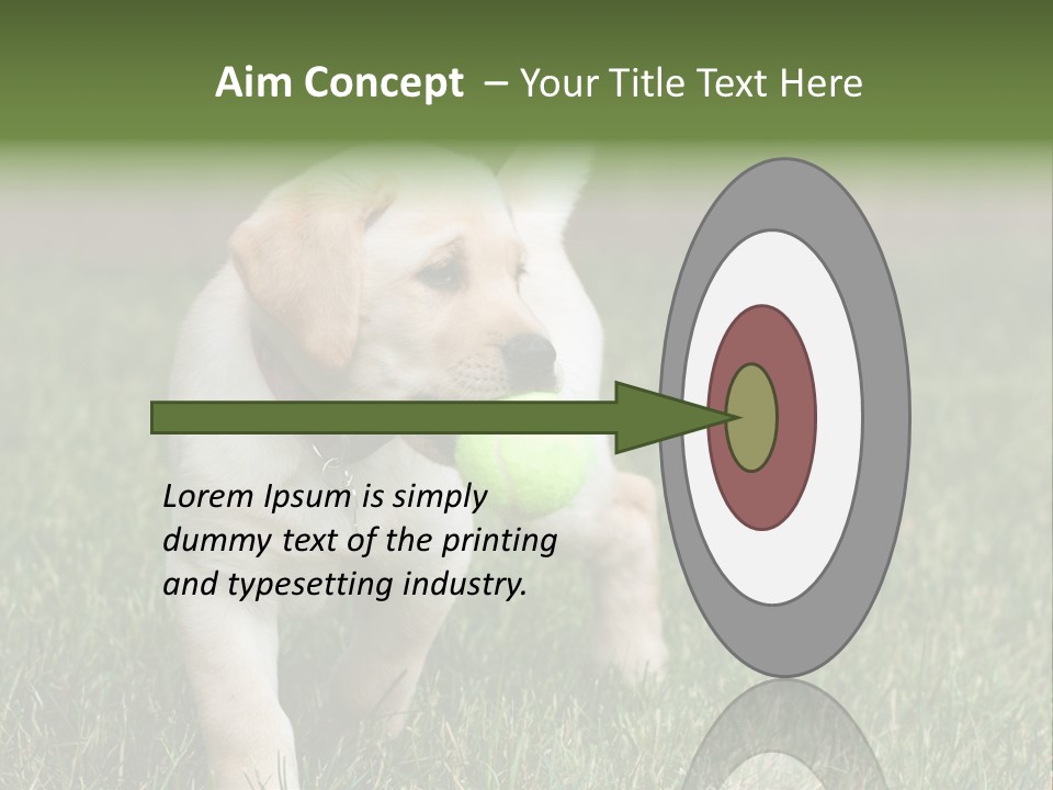 A Yellow Labrador Retriever Dog Holding A Tennis Ball In Its Mouth PowerPoint Template