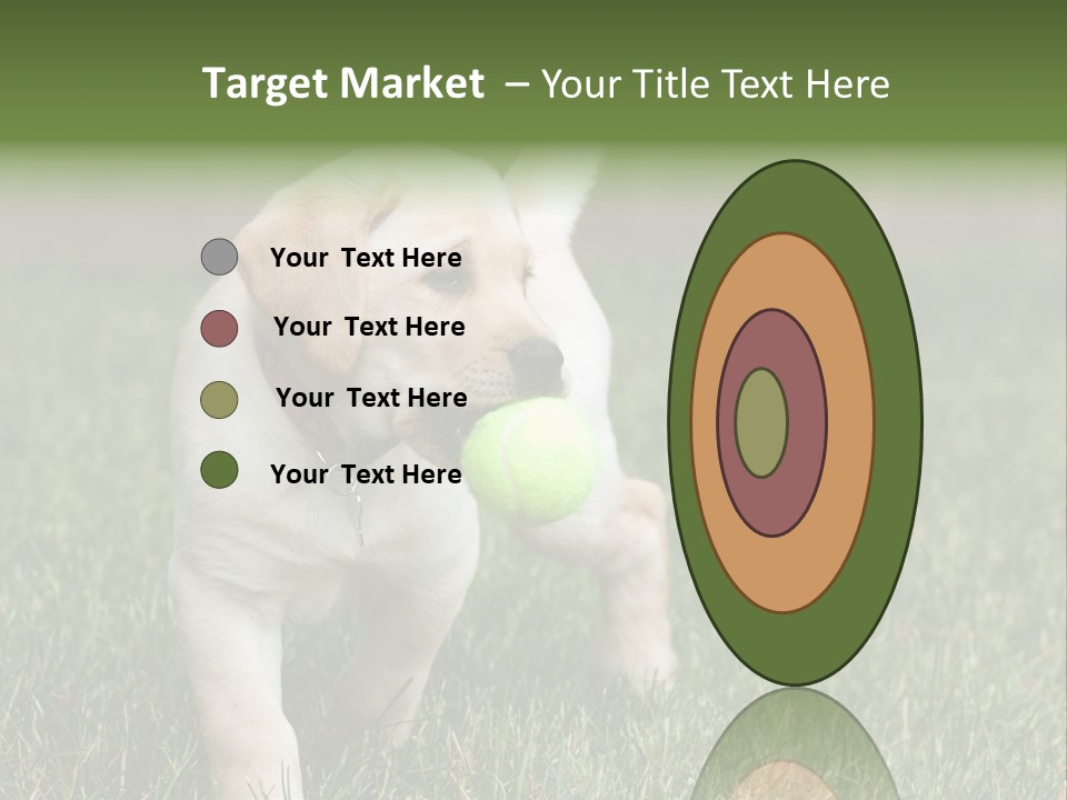 A Yellow Labrador Retriever Dog Holding A Tennis Ball In Its Mouth PowerPoint Template