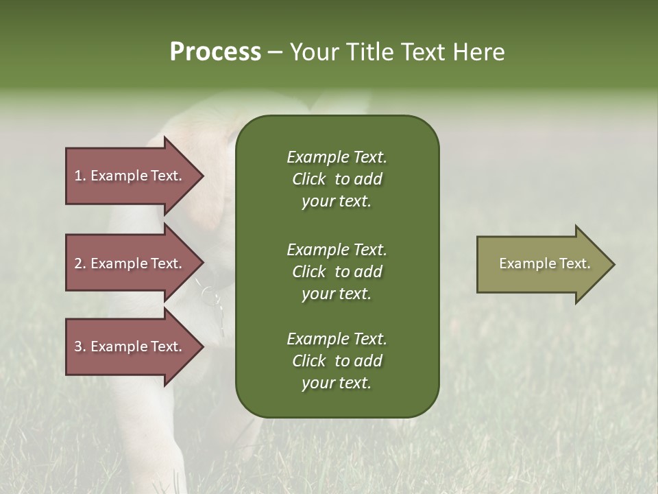 A Yellow Labrador Retriever Dog Holding A Tennis Ball In Its Mouth PowerPoint Template