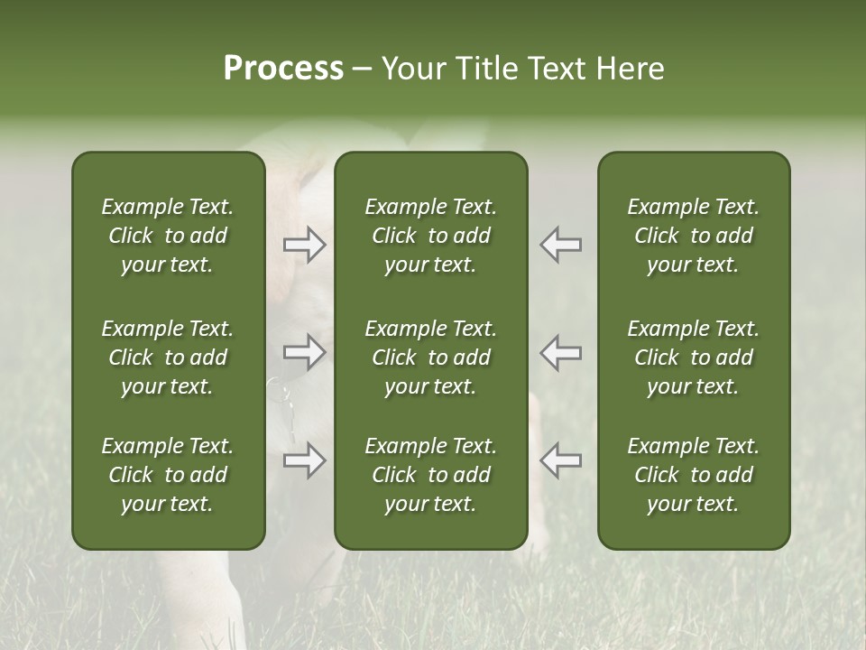 A Yellow Labrador Retriever Dog Holding A Tennis Ball In Its Mouth PowerPoint Template