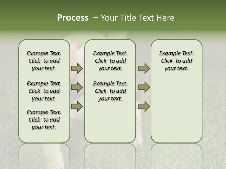 A Yellow Labrador Retriever Dog Holding A Tennis Ball In Its Mouth PowerPoint Template
