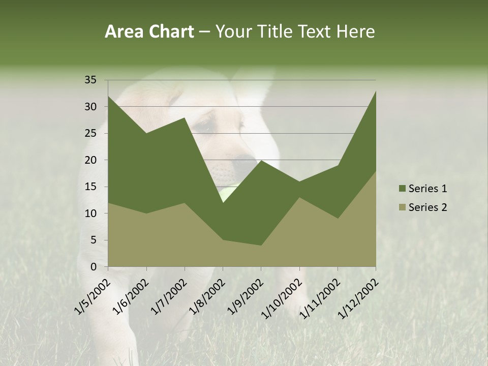 A Yellow Labrador Retriever Dog Holding A Tennis Ball In Its Mouth PowerPoint Template