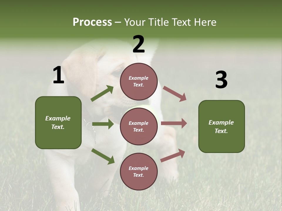 A Yellow Labrador Retriever Dog Holding A Tennis Ball In Its Mouth PowerPoint Template