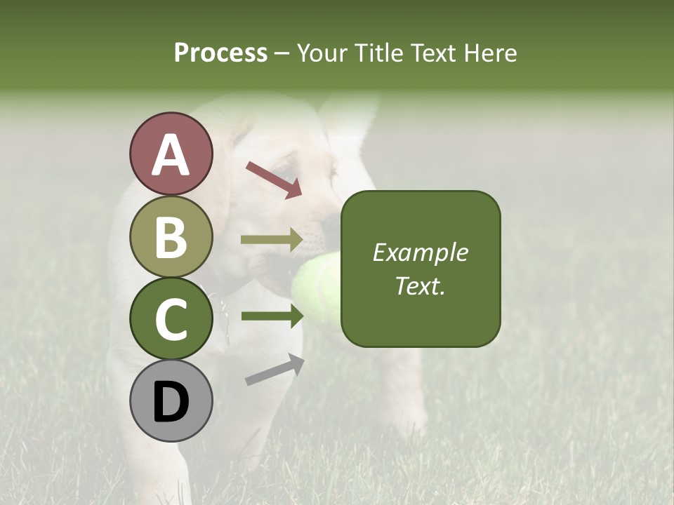 A Yellow Labrador Retriever Dog Holding A Tennis Ball In Its Mouth PowerPoint Template