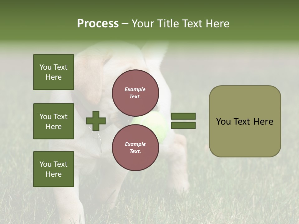 A Yellow Labrador Retriever Dog Holding A Tennis Ball In Its Mouth PowerPoint Template