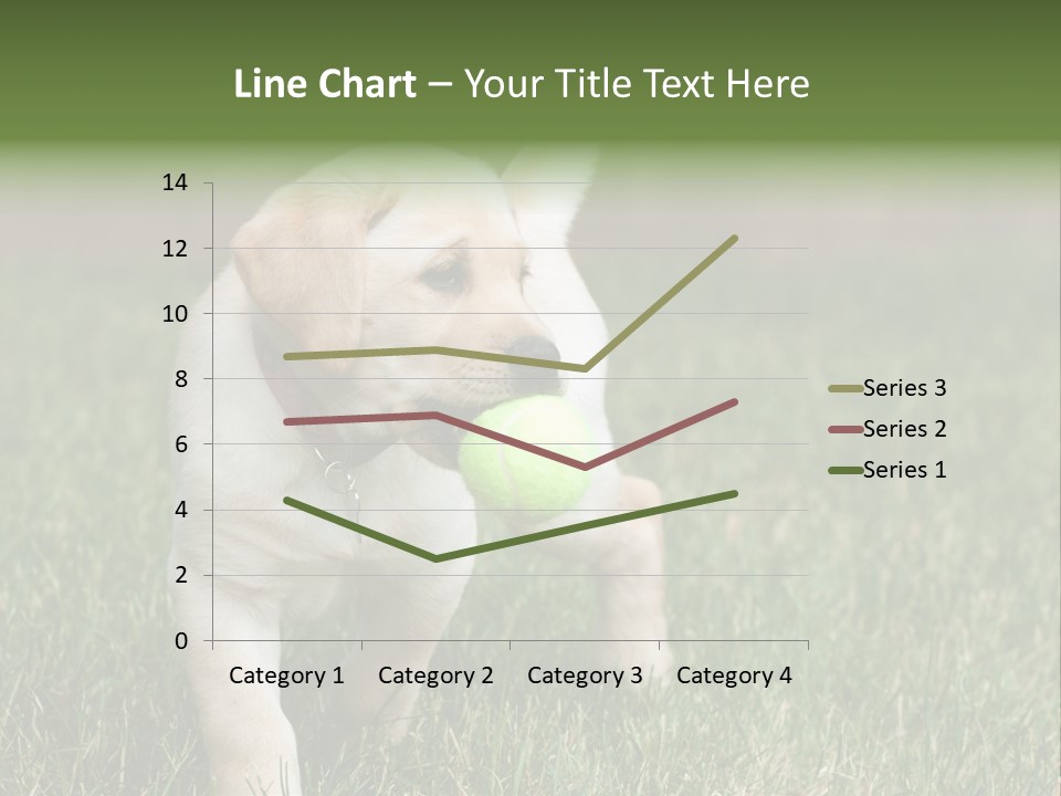 A Yellow Labrador Retriever Dog Holding A Tennis Ball In Its Mouth PowerPoint Template
