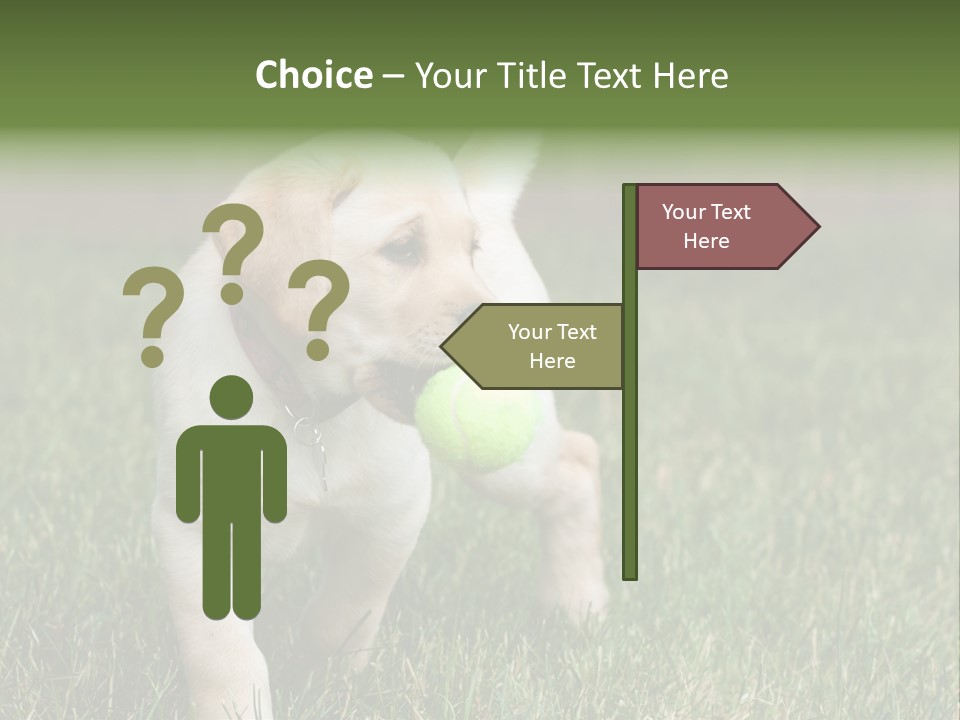 A Yellow Labrador Retriever Dog Holding A Tennis Ball In Its Mouth PowerPoint Template