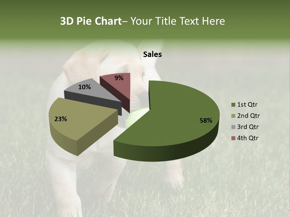 A Yellow Labrador Retriever Dog Holding A Tennis Ball In Its Mouth PowerPoint Template