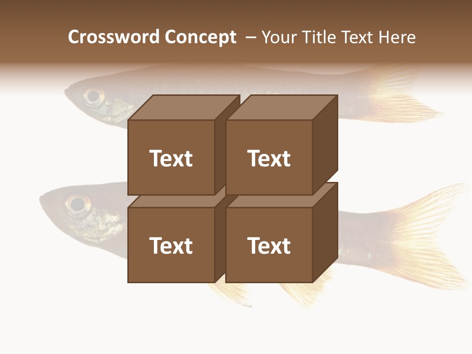 Animal Fauna Asian PowerPoint Template