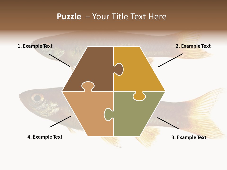 Animal Fauna Asian PowerPoint Template