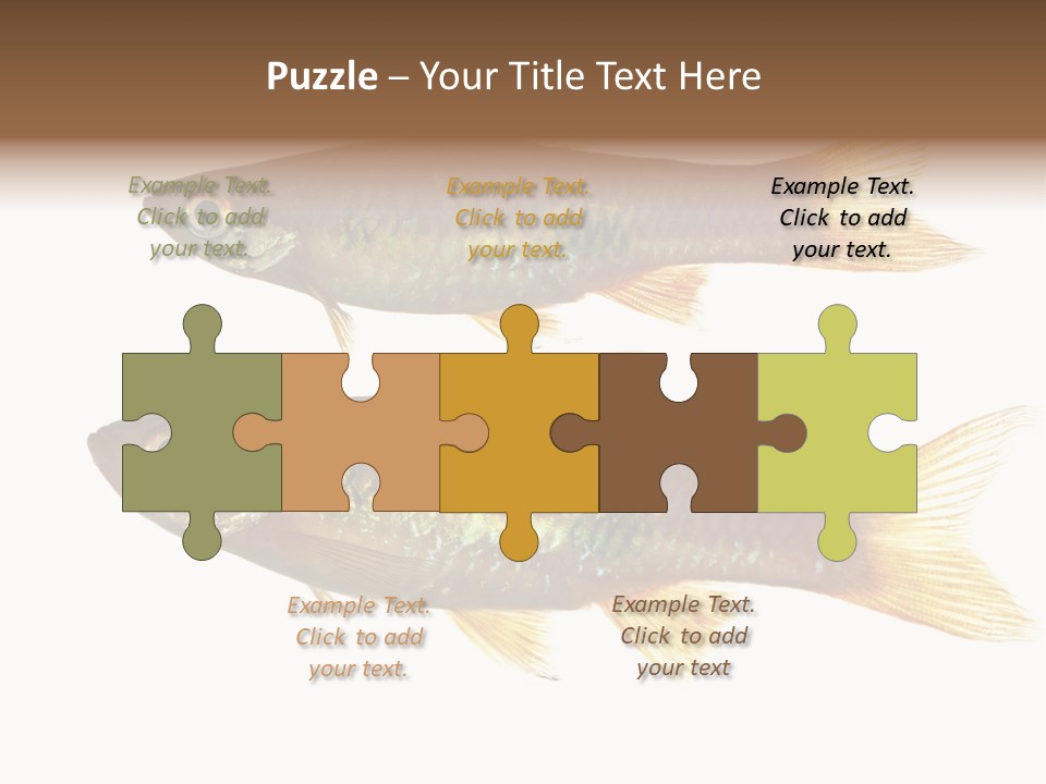 Animal Fauna Asian PowerPoint Template