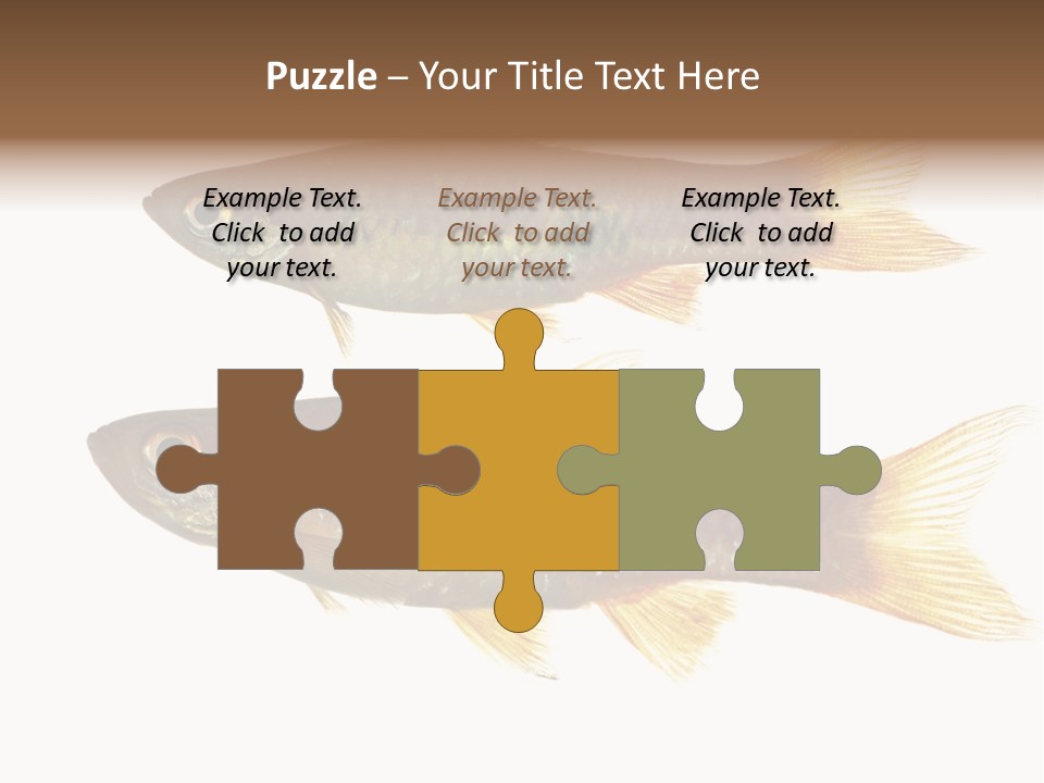 Animal Fauna Asian PowerPoint Template