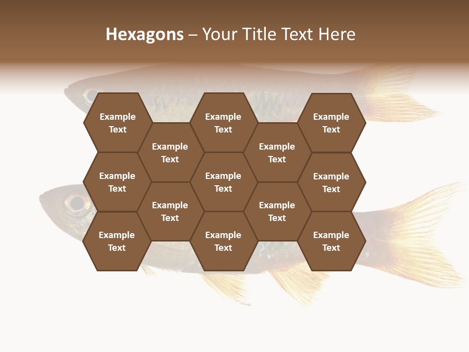 Animal Fauna Asian PowerPoint Template