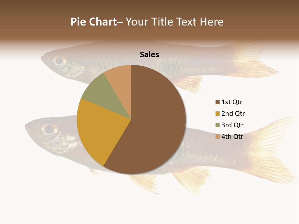 Animal Fauna Asian PowerPoint Template