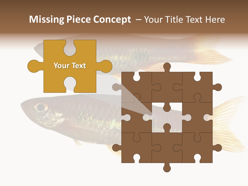 Animal Fauna Asian PowerPoint Template