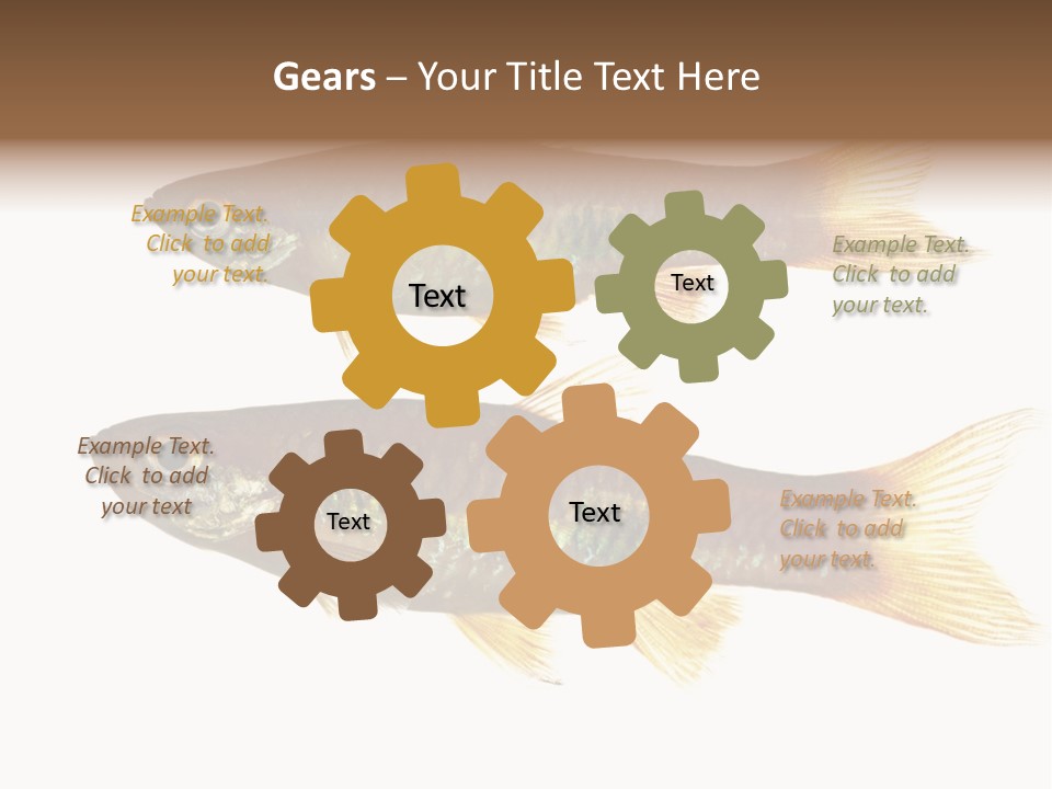 Animal Fauna Asian PowerPoint Template