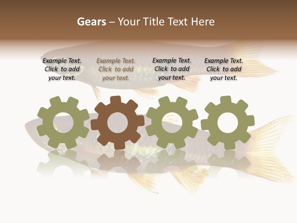 Animal Fauna Asian PowerPoint Template