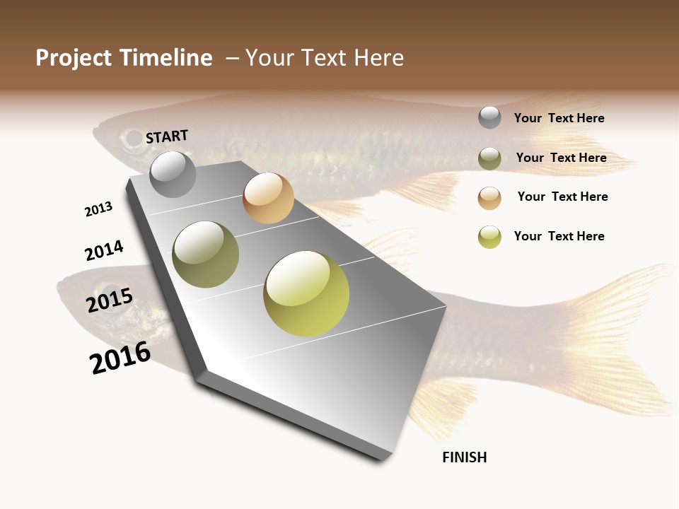 Animal Fauna Asian PowerPoint Template
