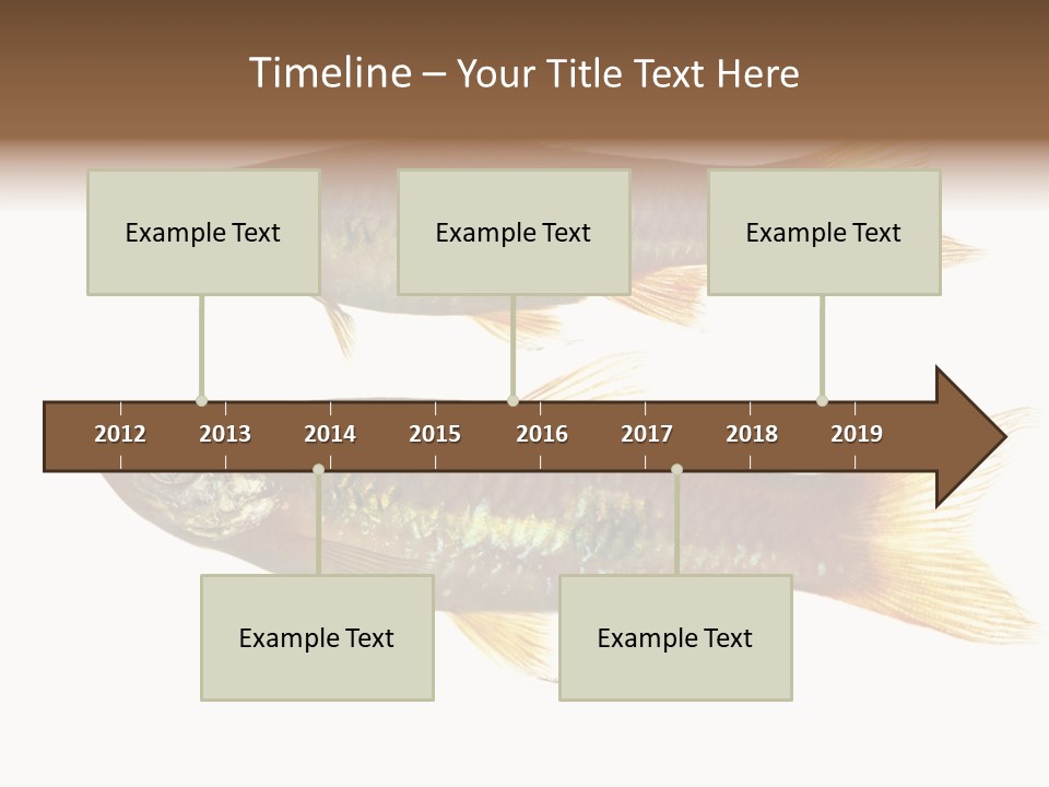 Animal Fauna Asian PowerPoint Template