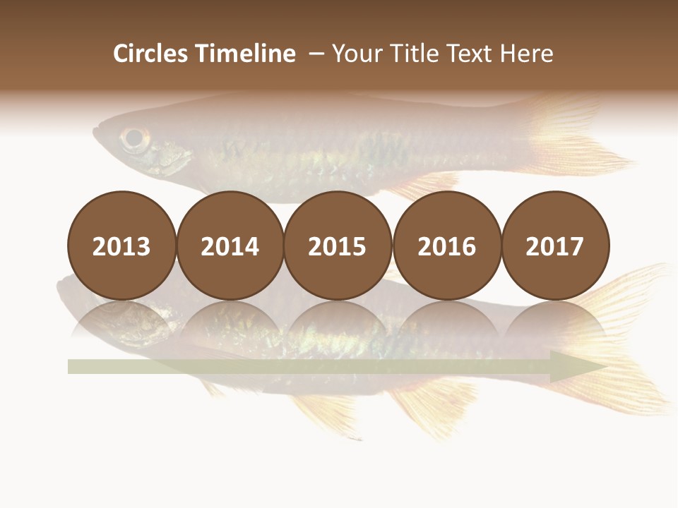 Animal Fauna Asian PowerPoint Template