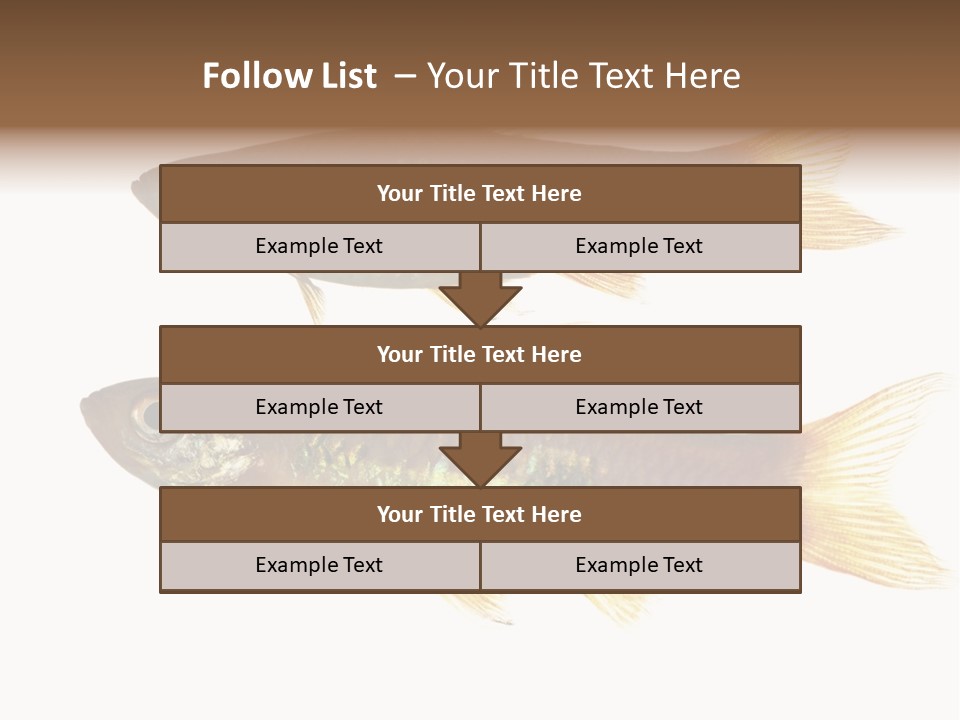 Animal Fauna Asian PowerPoint Template