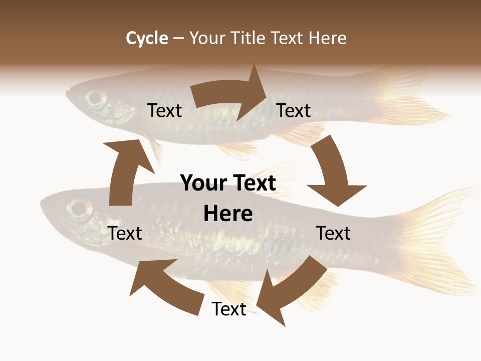 Animal Fauna Asian PowerPoint Template