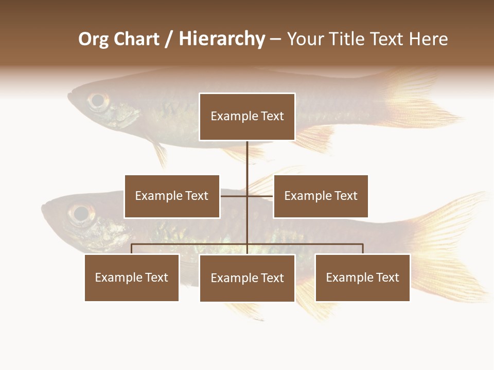 Animal Fauna Asian PowerPoint Template