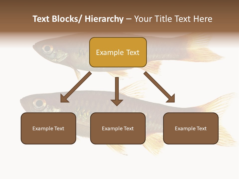 Animal Fauna Asian PowerPoint Template