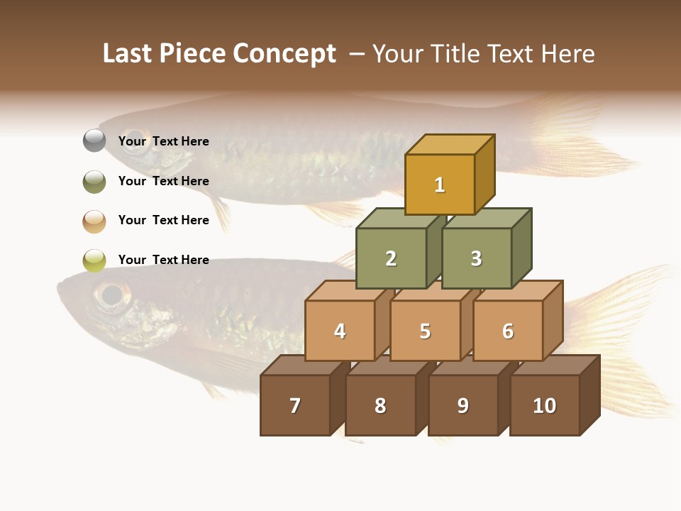 Animal Fauna Asian PowerPoint Template