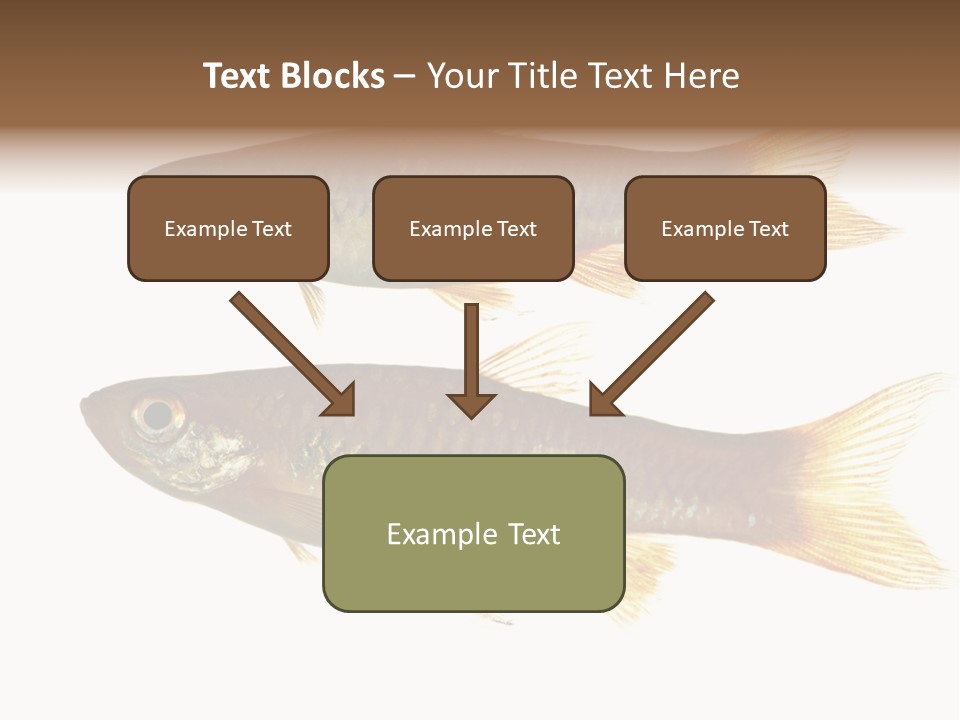 Animal Fauna Asian PowerPoint Template