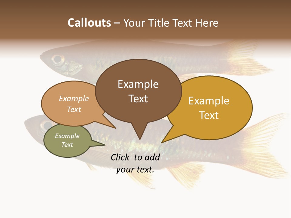 Animal Fauna Asian PowerPoint Template