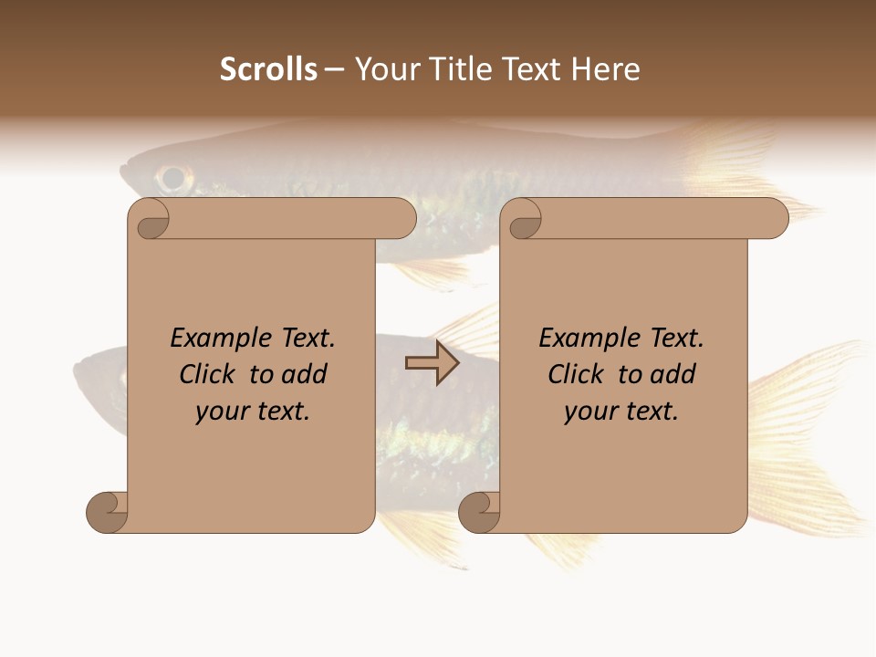 Animal Fauna Asian PowerPoint Template