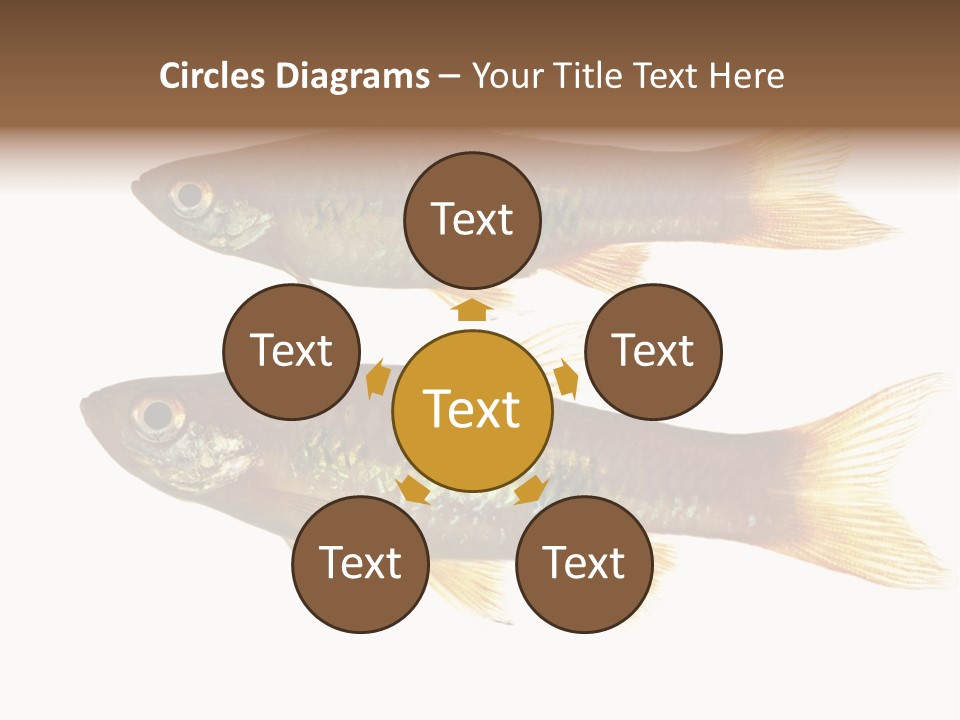 Animal Fauna Asian PowerPoint Template