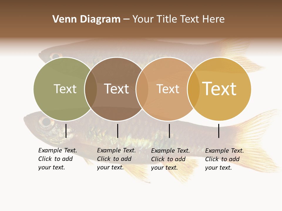 Animal Fauna Asian PowerPoint Template