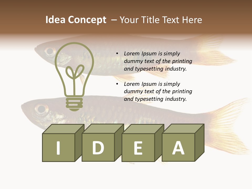 Animal Fauna Asian PowerPoint Template