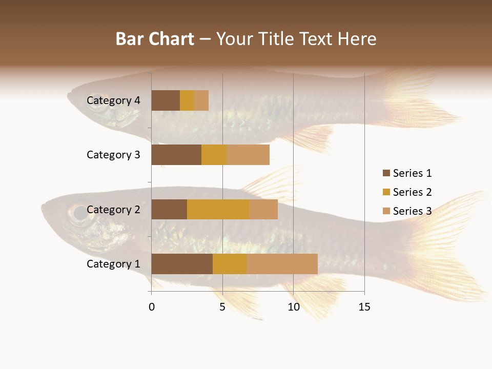 Animal Fauna Asian PowerPoint Template